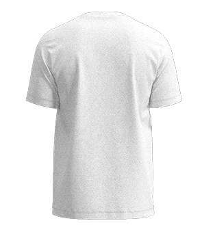 $$$/StateType/Normal